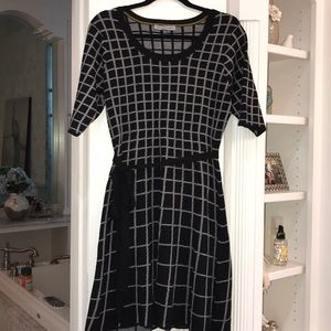 Danny and Nicole petite XL- Fit and Flare